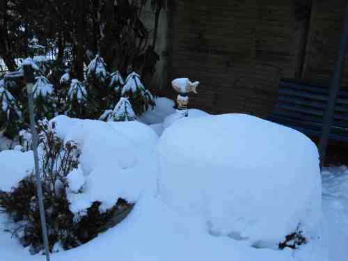 IMG_1351 - ist das nun der Höchststand diesen Winter