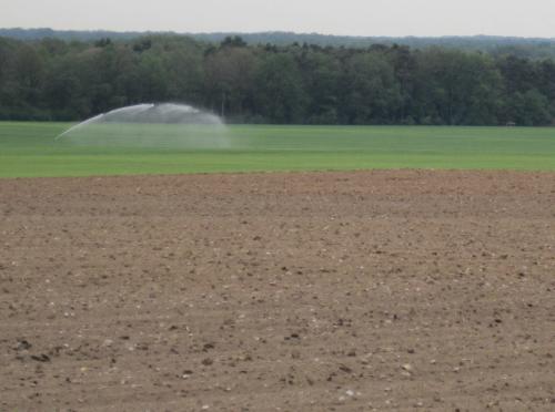 IMG_0406 - Grundwasserverschwendung im Subventionsraum