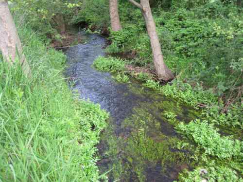 IMG_0424 - B3-Brücke, Stromstrich durch Restaurieren und Pflanzen - Merk-Berle