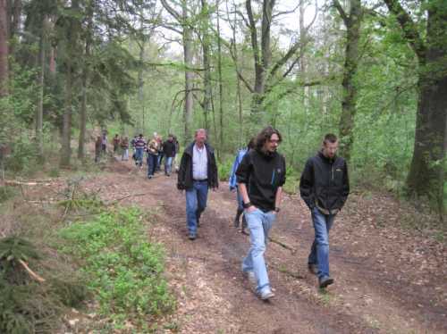 IMG_0431 - auf geht`s, in den Wald, FoLa