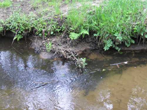 IMG_0438 - Treibselsammler baut neues Ufer