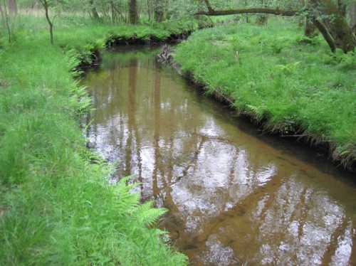IMG_0448 - FoLa, der Sandwüste kann abgeholfen werden