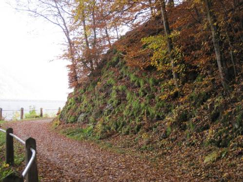 IMG_5922 - herbstlicher Berghang kurz vor der Sperrmauer