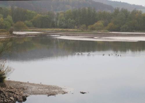 IMG_5949 - auch der Vorstau ist trockengelegt