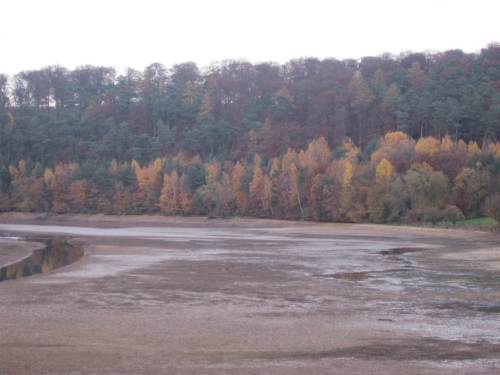 IMG_5955 - altes Twiste-Bett mäandrierend rechts erahnbar