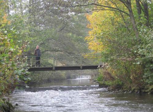 Brückenquerungen mit ihrem festen Unterbau zeigen die übermäßig ausgeprägte Erosion der gestörten Seeve: überall Zeichen notwendigen Restaurierens! Hydraulisch schwache Tierarten können solche Abrisse zunehmend schlechter passieren.