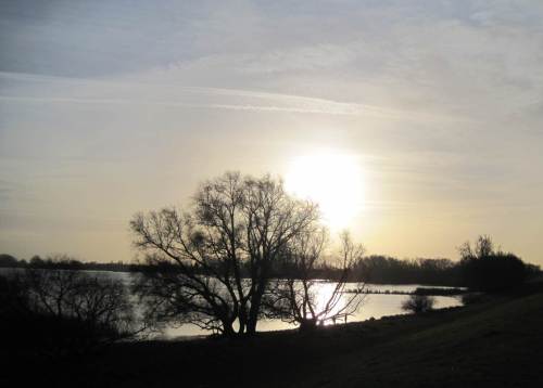 Von der Elbmündung aufwärts schwimmend arbeiten sich die laichreifen Individuen von Fluss- und Meerneunaugen in Richtung ihrer Geburtsgewässer vor - hier: die Elbe oberhalb Hamburg unmittelbar vor der Seeve-Mündung.