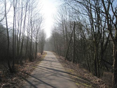 Gegenlicht-Halbschatten auf baumgesäumtem Damm - ein guter Start.