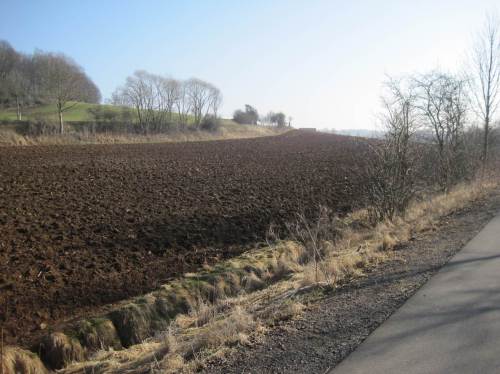 Wo sich die Landschaft öffnet - das bekannte Bild: Subventions-Agrarnutzung.