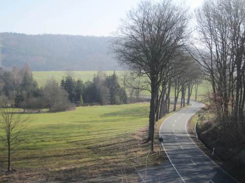 Mal ein anderer Aspekt - es gibt sie noch (sehr vereinzelt): Straßen-Mäander mit Altbaum-Allee.