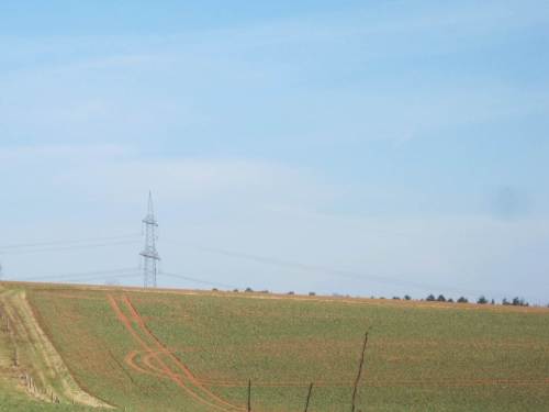 Agrar-Zeichen - keine Kreise im Kornfeld.