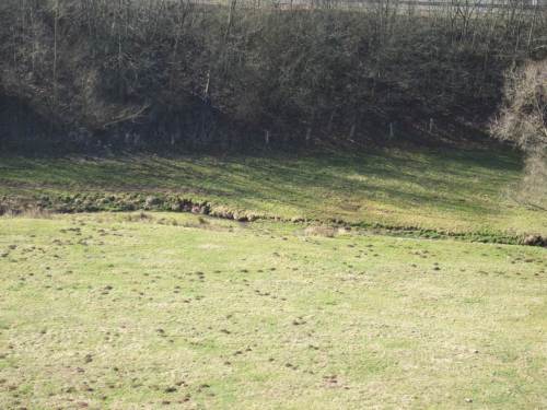 Blick 1 vom Viadukt: baumloser, vom Vieh zertrampelter Reiherbach - nicht so schön!