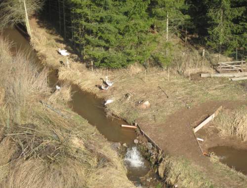 Blick aufwärts von der anderen Brückenseite: Ach so - Einstau, Ableitung in Teich, Gänsehaltung auf dem Wasser. Die Wasserbehörde wird sich freuen.