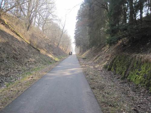 Neben Radfahrern, Joggern, Wanderern begegne ich auch Hundeführern. - Danke fürs Anleinen!