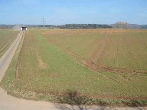 DAS meine ich mit "es gibt keine Landschaft mehr". Kein Baum, kein Strauch, kein blühender Randstreifen am Weg - alles wegsubventioniert.