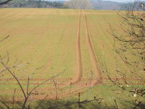 Agrar-Spuren. (Allzu) Schweres Gerät verdichtet den Boden Jahr für Jahr mehr. Probleme mit zu viel und zu wenig Regen verschärfen sich.