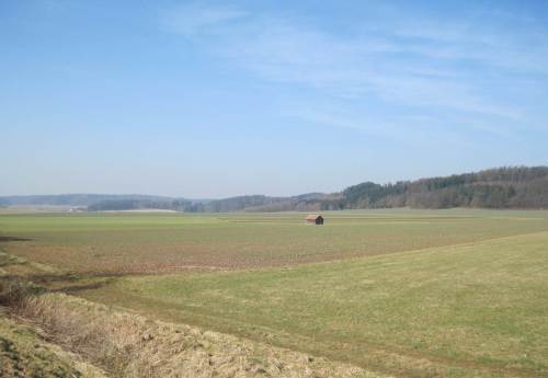 Auch hier war mal Landschaft, Biodiversität.
