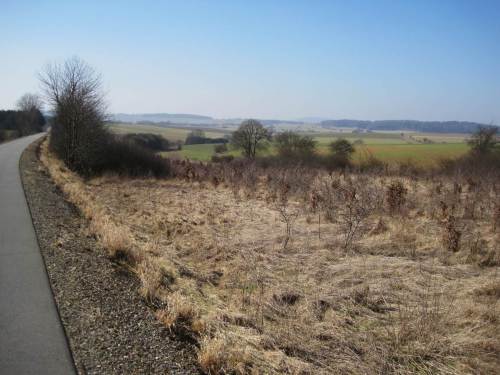Nur am Bahndamm, neben dem jetzigen Radweg, wird Naturentwicklung zugelassen.