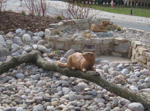 Und da sind die beiden anderen.