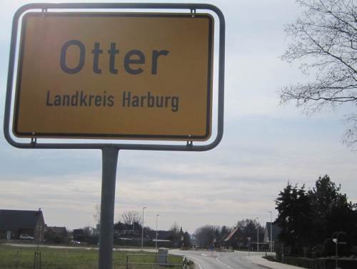 Otter-Kreisel voraus.