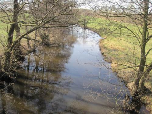 Das selbe Bild, wenn man weiss, was es zu sehen gilt: Am linken Seeveufer, hier rechts, da der Blick bachauf geht, herrscht die fast überall zu findende Situation. Sei es Vernachlässigung, sei es Mutwilligkeit - der standorttypische Baumsaum ist verschwunden. Erosion schafft Überbreite und Strukturverlust. In-stream Restaurieren brächte mit wenig Aufwand schnell Abhilfe.