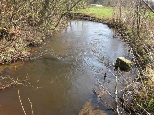 Gleich unterhalb des Einlaufs in den Fischpass ist schon die Lösung zu sehen. Wie in den Tümpelbereichen benötigt es "nur" Turbulenz-induzierender Einbauten, hier: Großsteine, um die Sandfangwirkung aufzuheben und Durchwanderbarkeit sicherzustellen. - Ja, und gucken Sie hin: Da ist doch schon optisch "Leben im Bach". - Das nächste Foto bezieht sich auf den im Hintergrund grün sichtbaren Bereich.