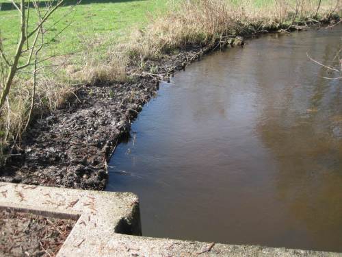 Aufwärts in Richtung des vorigen Fotos gesehen: fehlende Uferbäume führten zu erheblicher Erosion im Prallhangbereich. Stacken und Bodenhinterfüllen bringt keine dauerhafte Lösung. Erst das Bäume wachsen lassen, hier vermutlich: Jung-Erlenpflanzen in 1 m-Abstand, kann systembedingt nachhaltig wirken.
