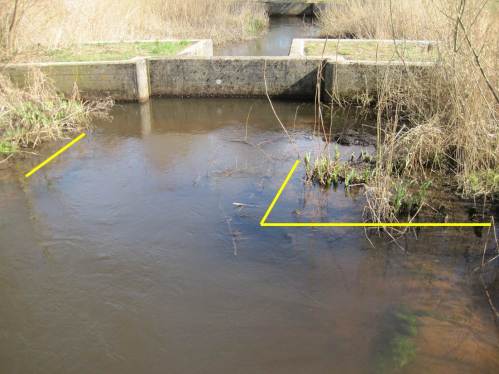 Detail einer buhnenartigen Einengung, wie sie in jedem Tümpelteil realisiert wurde.