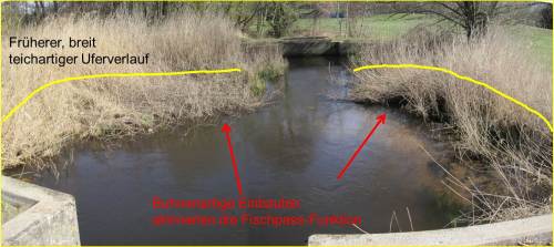 Die aufgeweiteten Tümpelbereiche (gelbe Darstellung der ursprünglichen Uferlinie) - in der Planung als Rastkolke gedacht  - fungierten im Erosions-Sand führenden Tieflandgewässer als Sandfänge. Die Gesamtfläche der Tümpel war ca. 2-5 cm schwach mit Wasser überflossen, in Betonnähe sorgte die dort gebündelte Strömung für kleine, abgesonderte Tiefwasserbereiche ober- und unterstroms.