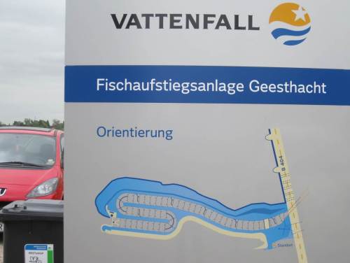 Am Nordufer der Elbe trafen wir dann auf die anderen und studierten die Übersichtstafel.