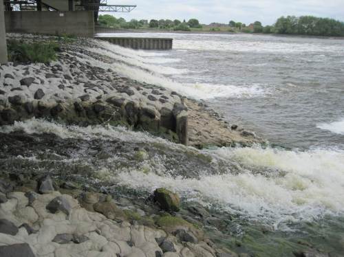 Wir waren zu Tideniedrigwasser vor Ort, also dem größtmöglichen Höhenunterschied. Bei Tidehochwasser und / oder hohen Elbeabflüssen sind kraftvolle Schwimmer wie Meerforelle und Lachs in der Lage, diese zusätzlichen, turbulent strömenden Gerinne zu passieren - vorbei am Fischpass.