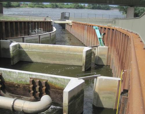 Richtung Auslauf zur Elbe verengt ist der Fischpass auf ca. 1/3 seiner Breite. So wird eine hinreichende Strömung erzeugt, durch die aufstiegswillige Fische den Eingang finden.