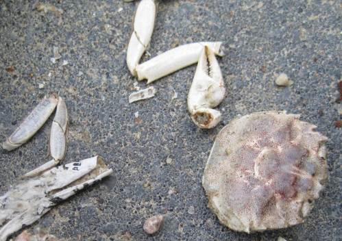 Oh, da ist wohl etwas kaputt gegangen - oder gemacht worden?