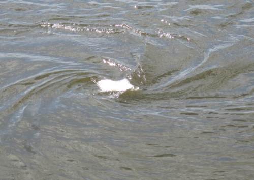 Ständig wechselt das Bild.