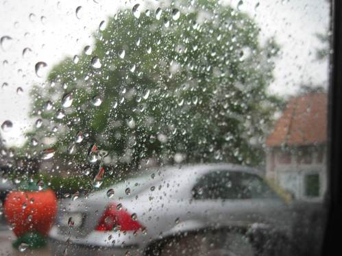 Erdbeer-Einkauf. - Es hätte ja nicht gleich wieder so kühl werden müssen. Das ist jetzt die zweite Schafskälte nach gefühlten mindestens 6 Eisheiligen!