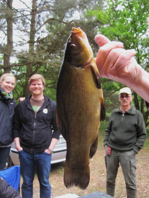 Da freut sich die Familie auf die Fischmahlzeit.