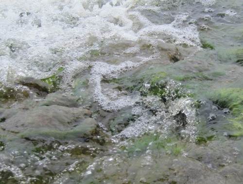 Und jedes Mal entdeckt man Neues - in steter Veränderung.