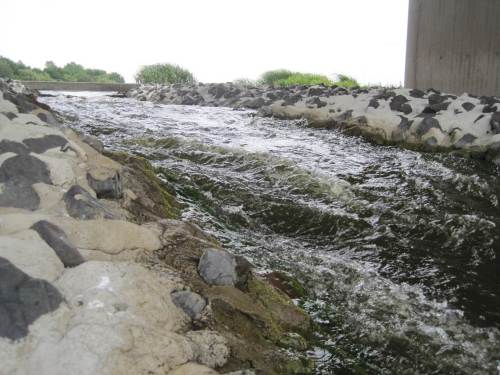 Von Elbe-abwärts in eins der Dotierungsgerinne geguckt: Man kann sich gut vorstellen, dass Lachs und Meerforelle bei genügend hoch stehendem Tidehochwasser gern diese "Flüsschen" dem Fischpass vorziehen (und ungezählt Richtung Laichbach in Sachsen oder anderswo weitersausen).