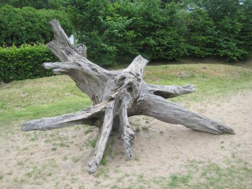 Beim Wanderstart begegnen wir auf einem Kinderspielplatz einem Waldgeist - oder ist das nur eine Wurzel?