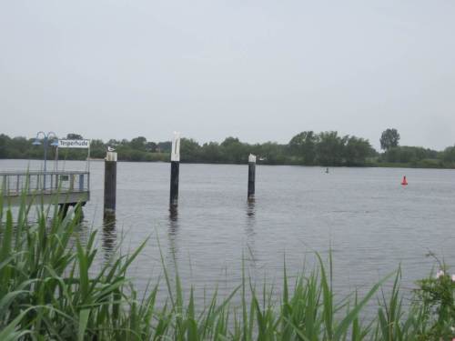 Wir sind wieder gut unten angekommen - Anleger Tesperhude.