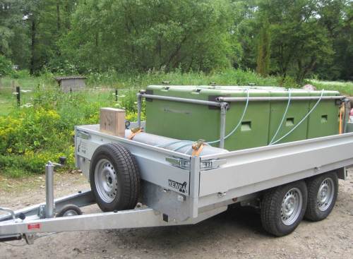 Die Äschen sind da - professionell transportiert.