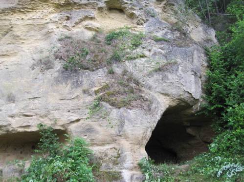 Auf der Strecke Meineringhausen - Alraft - Oberwerbe passierten wir unter anderem diese Sandsteinformation mit Höhlen.