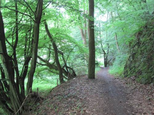 Hangweg am Waldrand - kurz vor Niederwerbe.