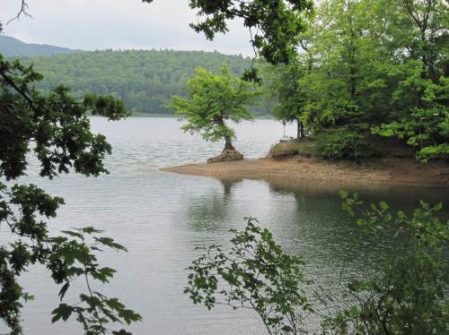 Vorbei an kleinen Buchten geht die Tour - der einzeln stehende Baum an der Mündung zeigt den wegen Weserschifffahrt bereits etwas abgesenkten Wasserstand des Sees.
