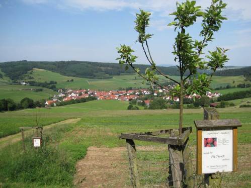 Um Wegränder wieder mit alten Obstbäumen zu begleiten, sind hier Patenschaften gewählt worden. Links sieht man, dass auch dies - z.B. abhängig von der Lebenssituation der Paten - nicht vor Ausfällen schützt.