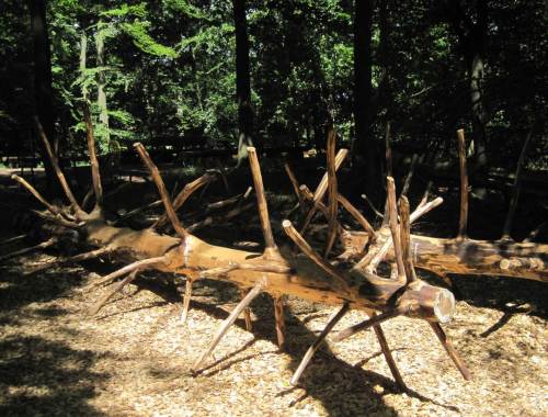 Kletterbäume waagerecht - wie wir später sehen konnten, ein von Kindern gern genutztes Angebot.