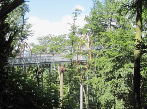 Das ist er also, der Baumkronenpfad.