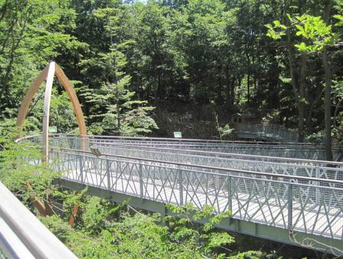 Ich bin überrascht. Die stabile Konstruktion oder das Konzentrieren auf Wahrnehmbares haben meine Bedenken (nicht schwindelfrei) im Nichts verschwinden lassen. - Aber generell: so schön das Erlebnis ist - man muss so einen Eingriff in Landschaft nicht überall nachmachen. Fast wie eine zwangsverpflichtende Mode rollte das Thema "Wir wollen einen Baumkronenpfad" vielerorts durch Politikerrunden und Medien. - Leute, das ist doch auch langweilig, wenn überall so eine Installation zu finden ist!