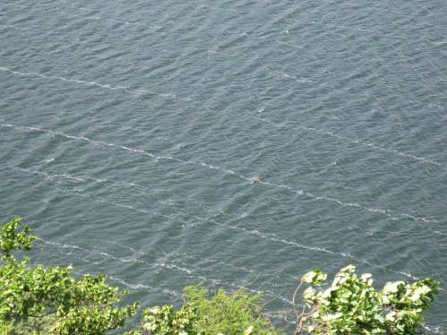 Stürmischer Wind malt weisse Linien auf den Edersee.