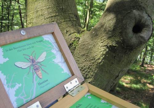 Infotafeln unterstützen das Erlebnis.